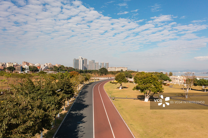 蓝天下的公园步道与绿植图片素材