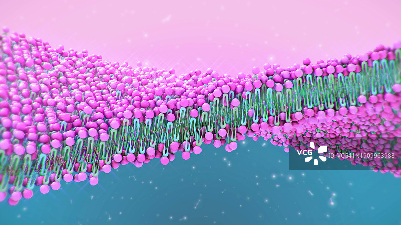 细胞膜结构图片素材