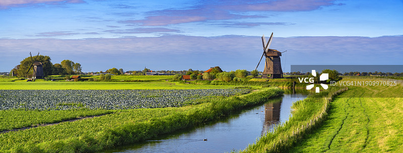 斯赫默霍恩附近运河边的荷兰风车（荷兰）图片素材
