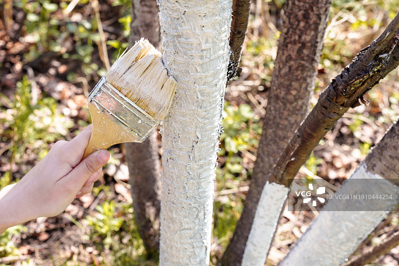 手部特写：给树干上色图片素材