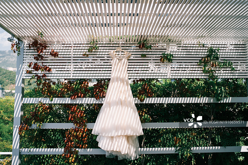 温室低角度视图图片素材