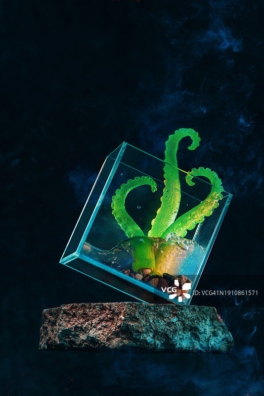 玻璃缸中带有烟雾效果的章鱼雕塑图片素材