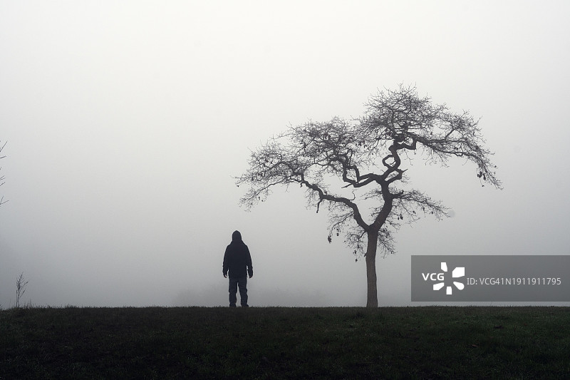 诡异身影，背对镜头，雾蒙蒙冬日树旁图片素材