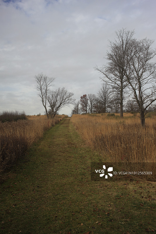 新泽西州田野风光，美国图片素材