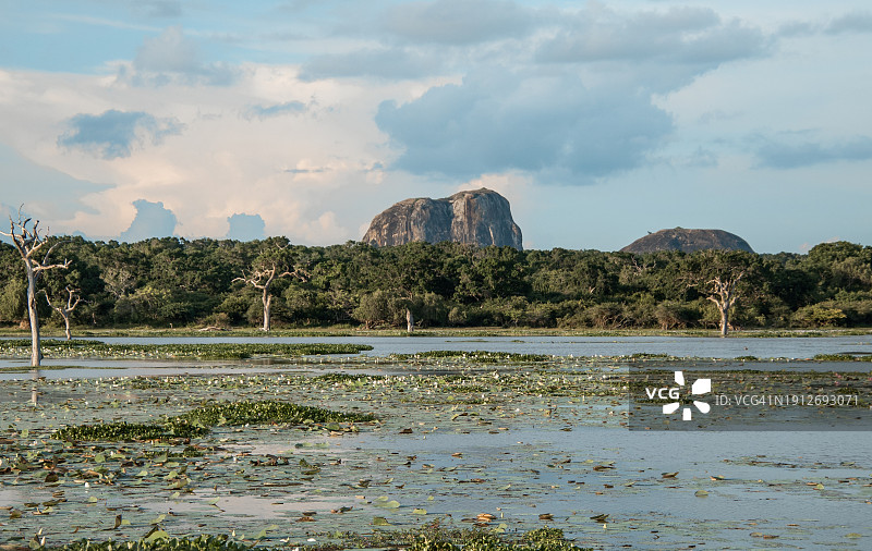 斯里兰卡亚拉国家公园大象岩湖的航拍景色，丛林灌木地和沼泽池塘图片素材