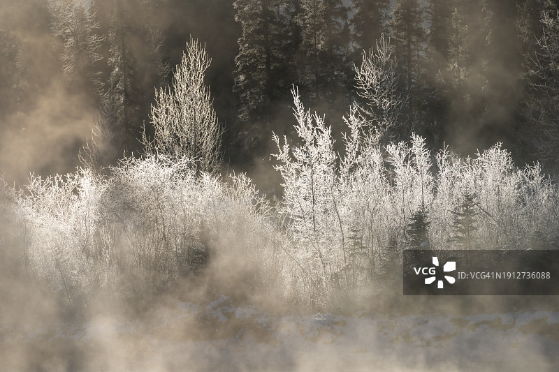 加拿大落基山脉弓河上的霜冻，加拿大阿尔伯塔省图片素材