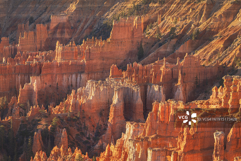 布莱斯峡谷国家公园的日出点图片素材