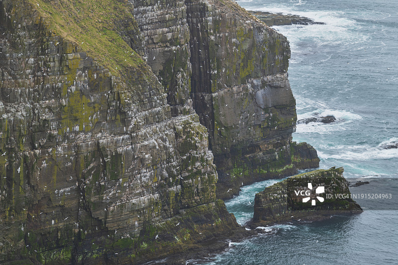 圣玛丽角生态保护区，纽芬兰图片素材