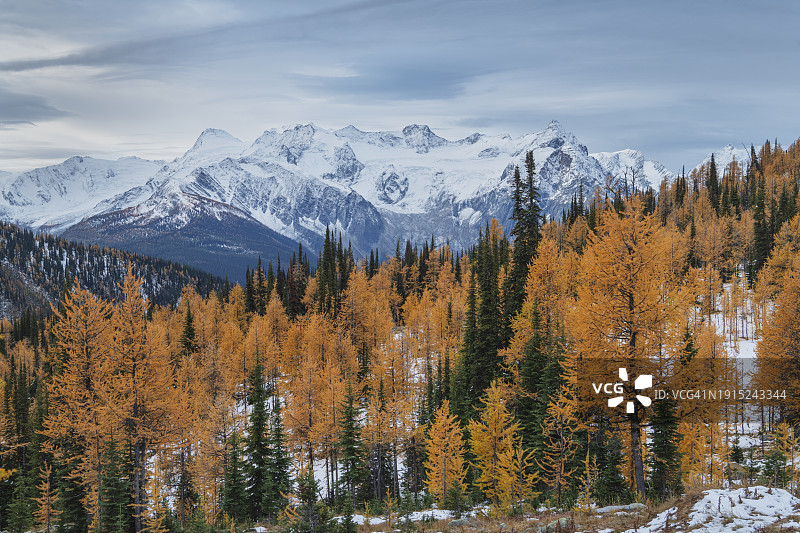 不列颠哥伦比亚省珀塞尔山脉的特鲁斯山图片素材
