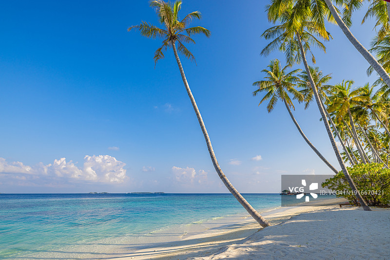 美丽的海岛风光：热带海滩、夏季海岸、度假胜地、棕榈树、白沙和晴朗的天空，自由的旅行，迷人的海湾泻湖天堂海岸图片素材