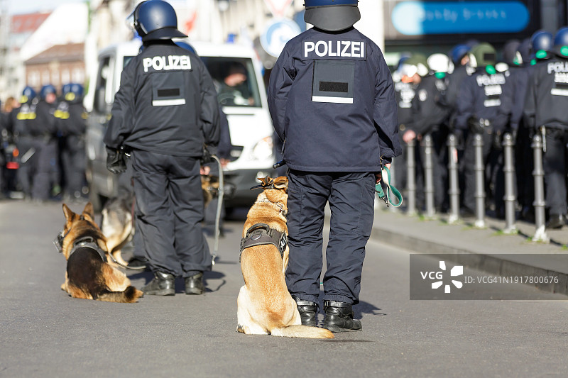 德国警察在政治示威中与两只警犬图片素材