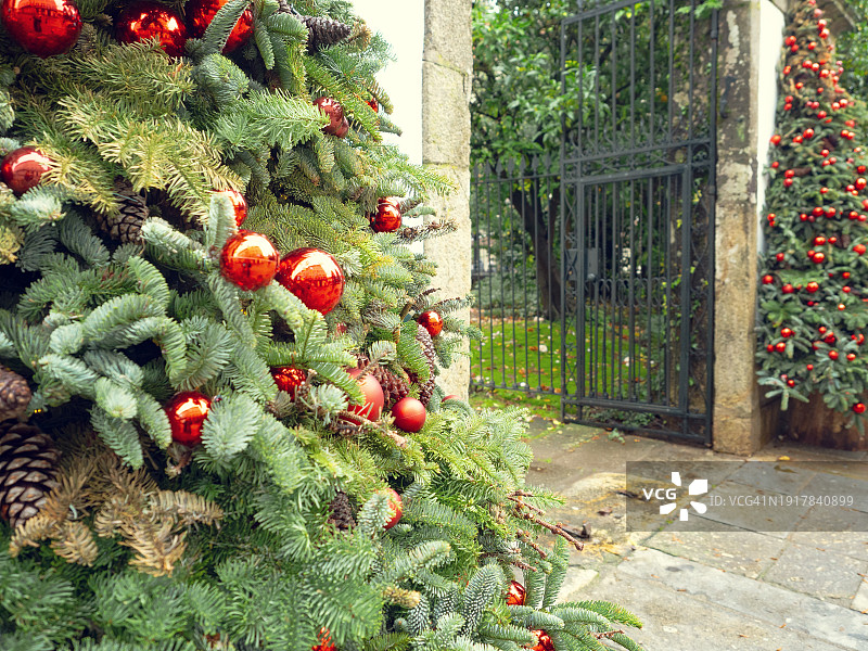 户外装饰好的圣诞树图片素材
