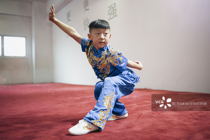 摆武术姿势的中国年轻男孩图片素材