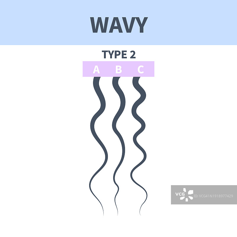 头发类型概念图图片素材