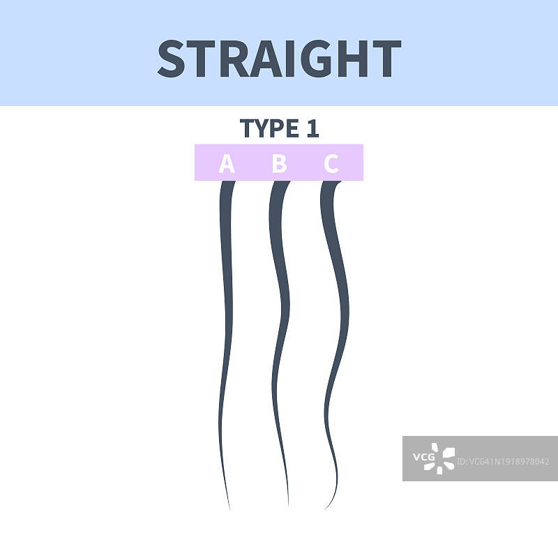 头发类型概念图图片素材