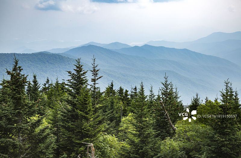 田纳西州克林曼穹丘附近常绿树后方朦胧的蓝岭山脉图片素材