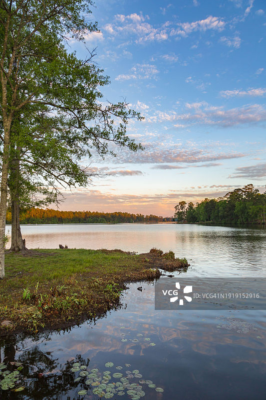 密西西比州哈蒂斯堡保罗·B·约翰逊州立公园盖格湖图片素材