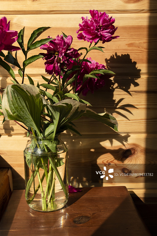 房子里花瓶中的牡丹花束图片素材