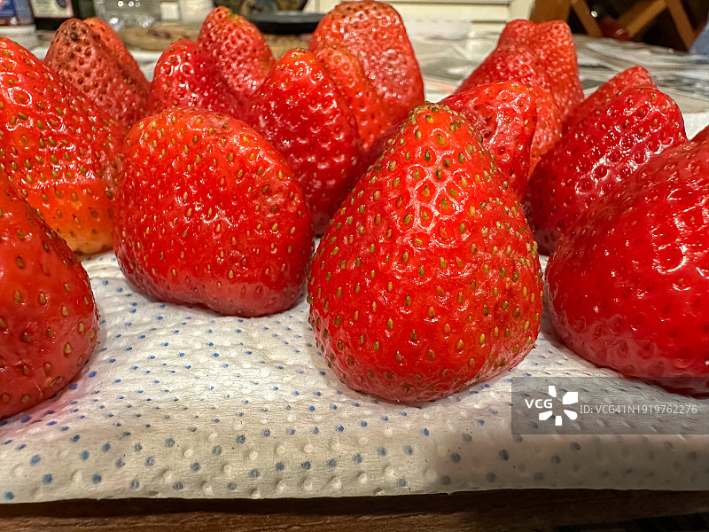 消毒后晾干的新鲜草莓图片素材