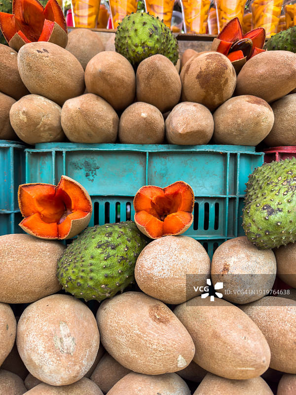 墨西哥城美食：人心果、番荔枝、芒果杯图片素材