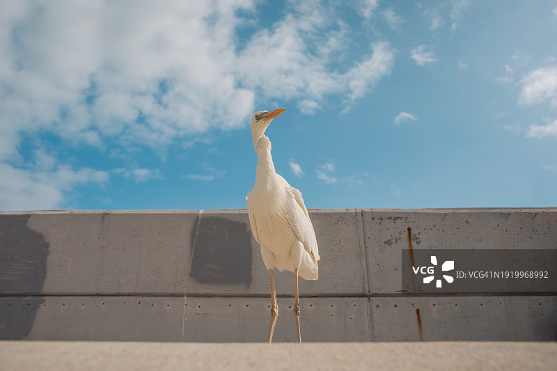 基韦斯特图片素材