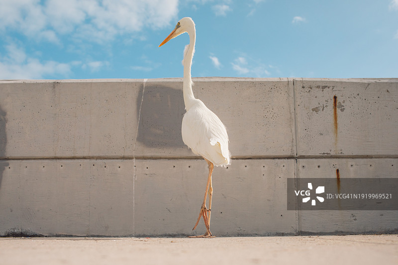 基韦斯特图片素材