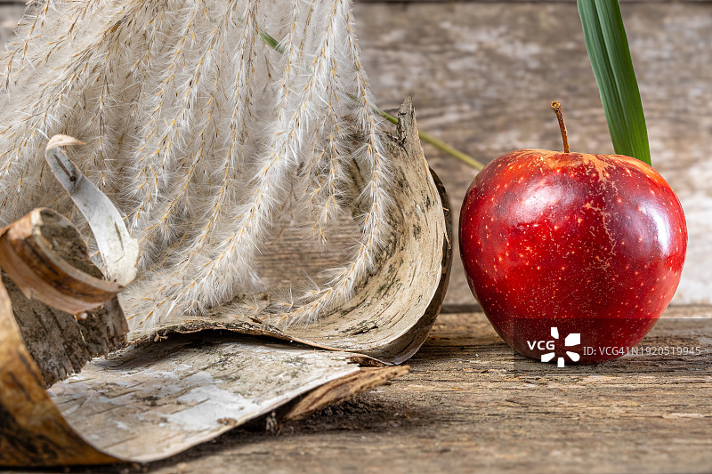 桌子上羽毛和乡村摆设旁的苹果特写图片素材