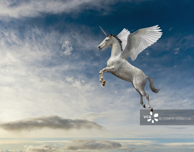 独角兽飞马图片素材