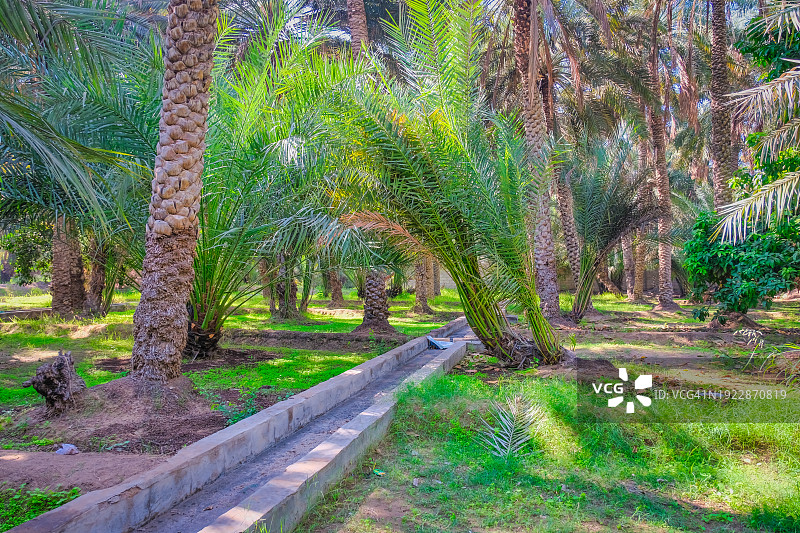 阿拉伯联合酋长国艾恩绿洲图片素材