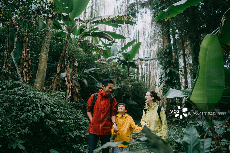 阿里山雨林家庭徒步旅行，中国台湾图片素材