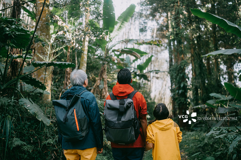 森林中三代同堂的家庭背影图片素材