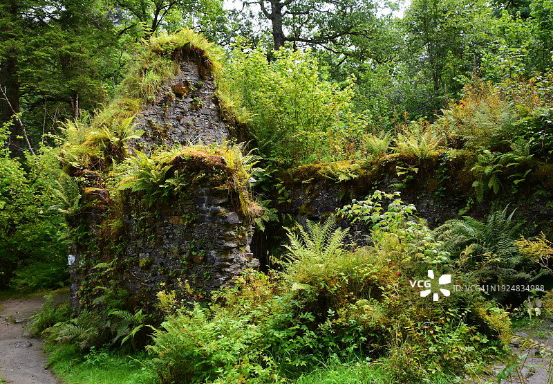河边的老磨坊图片素材