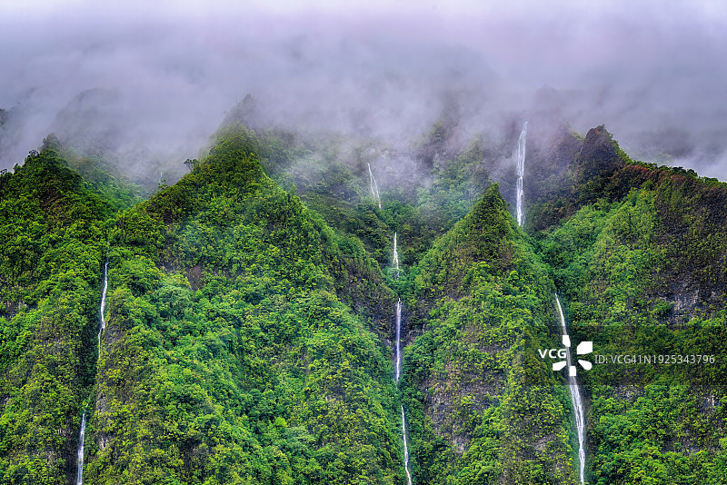 美国夏威夷州卡内奥赫森林风光图片素材