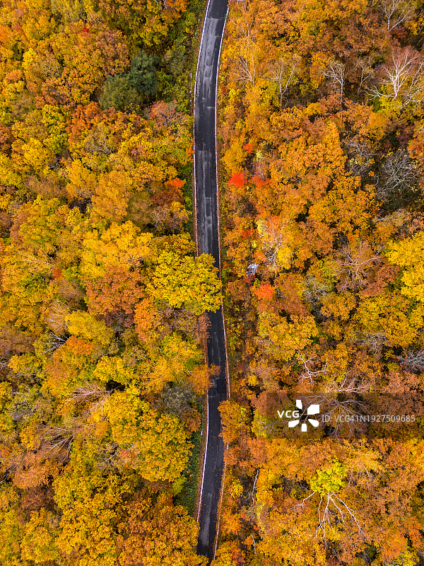 长野秋景公路航拍图片素材