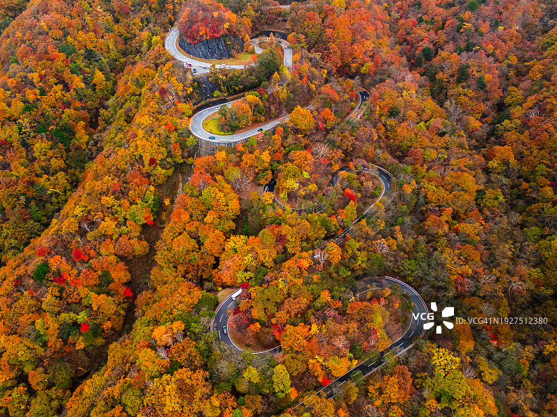 秋季山间蜿蜒公路和彩色景观航拍图片素材