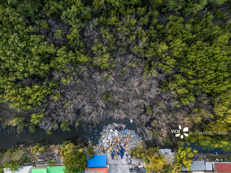 红树林和海滩上的垃圾，人为造成的全球变暖图片素材