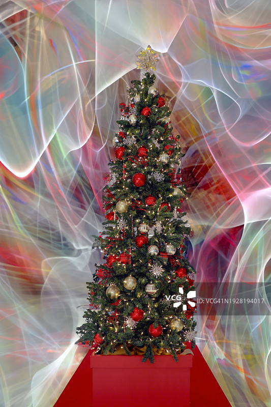 光绘魔法圣诞树图片素材