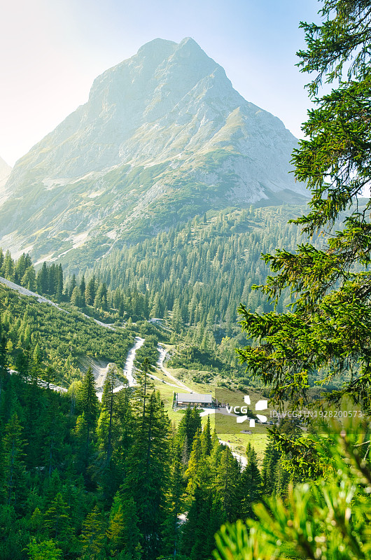 天空下的松树和山脉美景图片素材