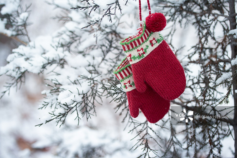 挂在树上的圣诞装饰品特写，美国明尼苏达州圣安东尼图片素材