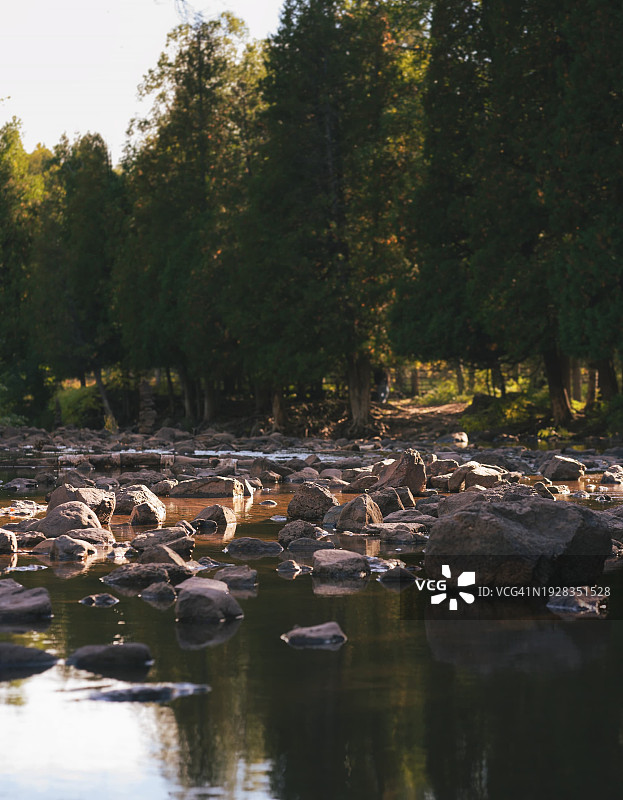 森林湖泊风景，双港，明尼苏达州，美国图片素材