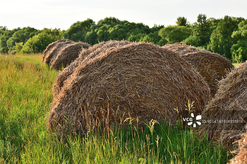 天空衬托下的田野风景图片素材