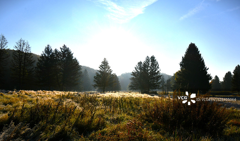 美国俄亥俄州半岛田野风光图片素材