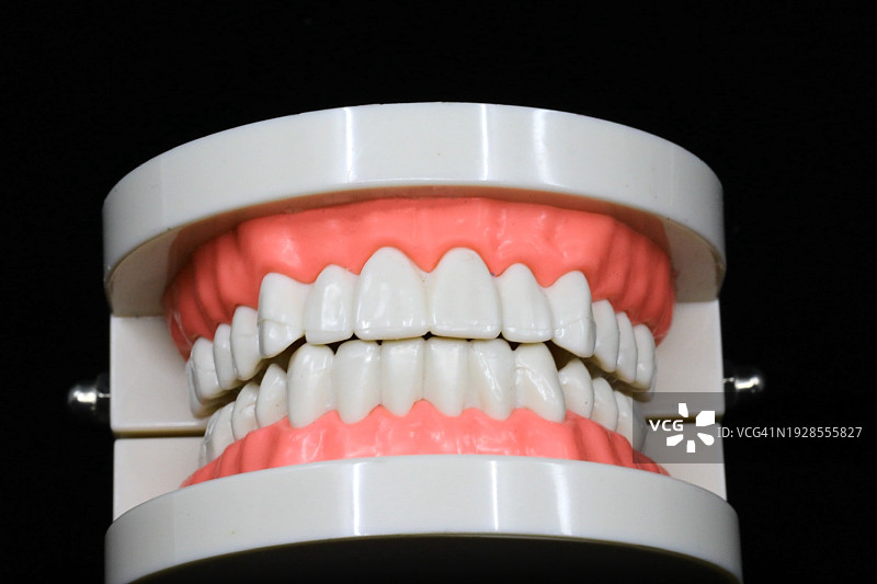 牙科训练模型图片素材