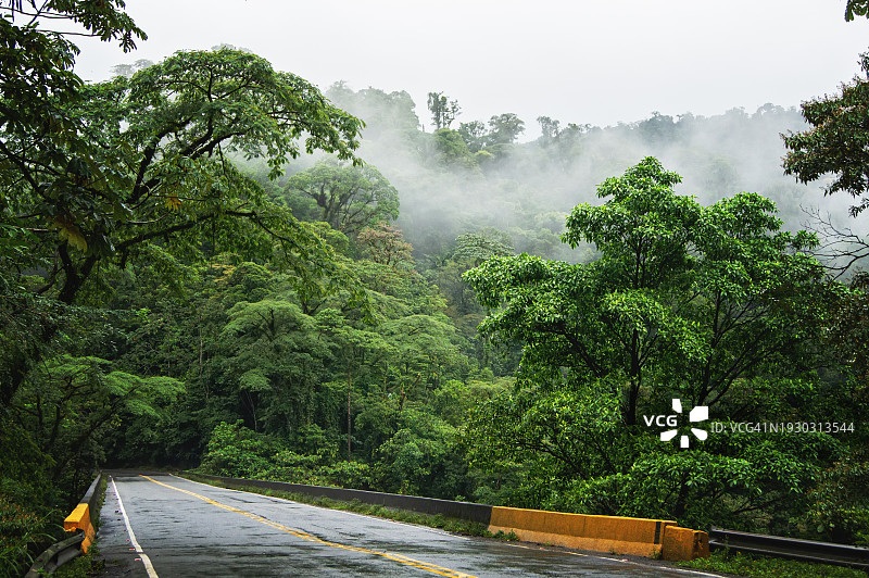 哥斯达黎加热带雨林公路图片素材
