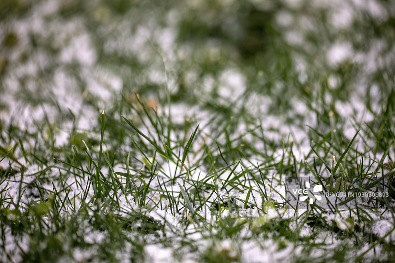 草坪上的雪图片素材