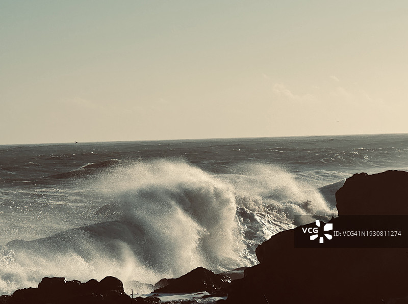 海岸边的1月图片素材
