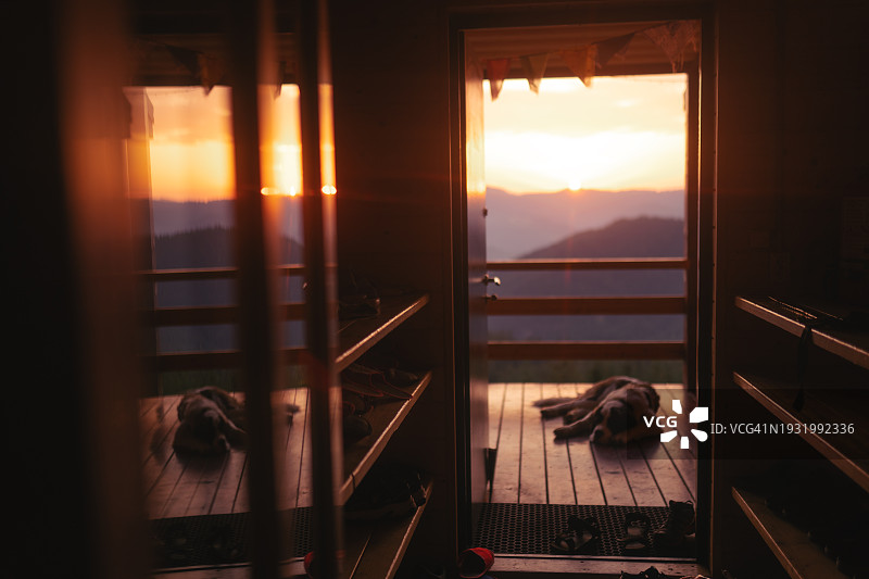 圣伯纳犬躺在阳台上图片素材