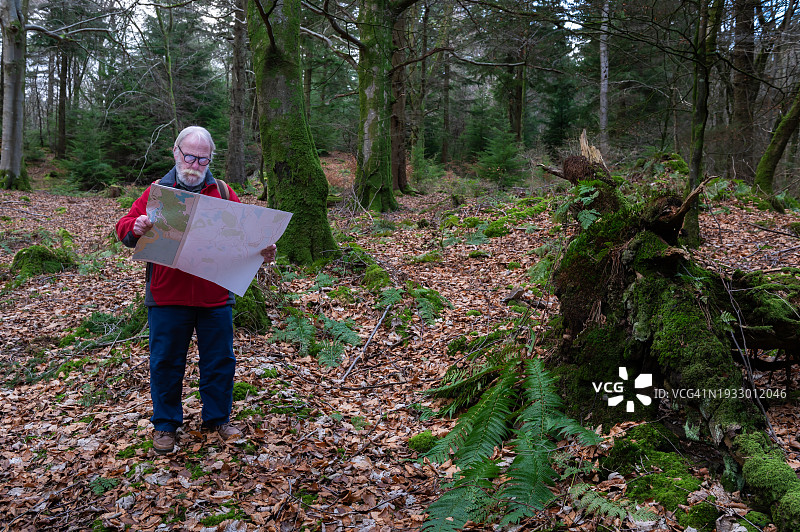 退休男人在林地里查看地图图片素材