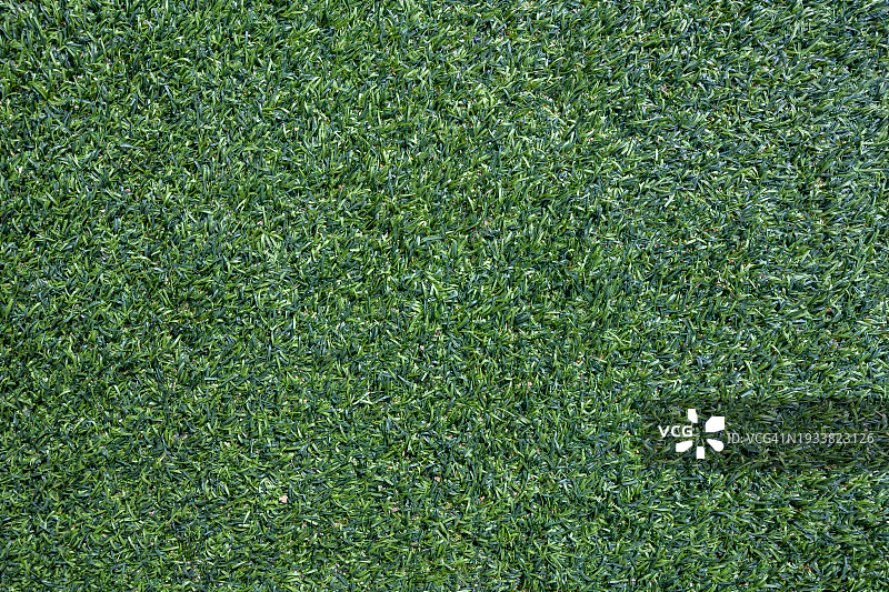 绿色草地纹理背景图片素材