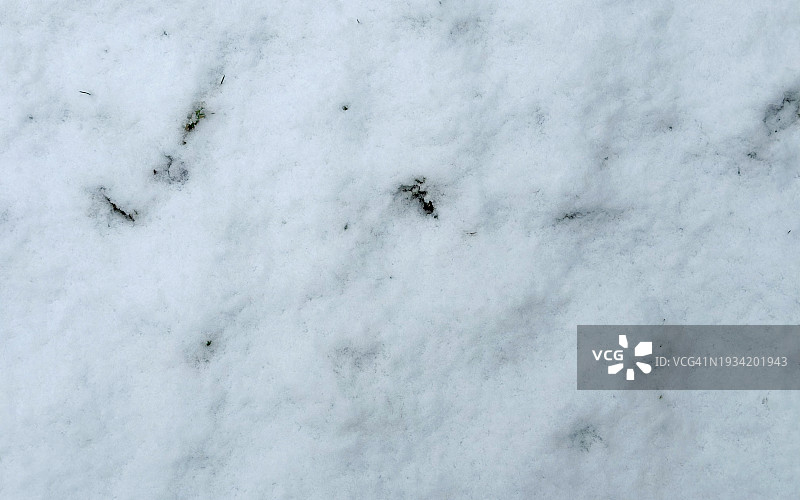 新鲜雪景全画幅背景图片素材